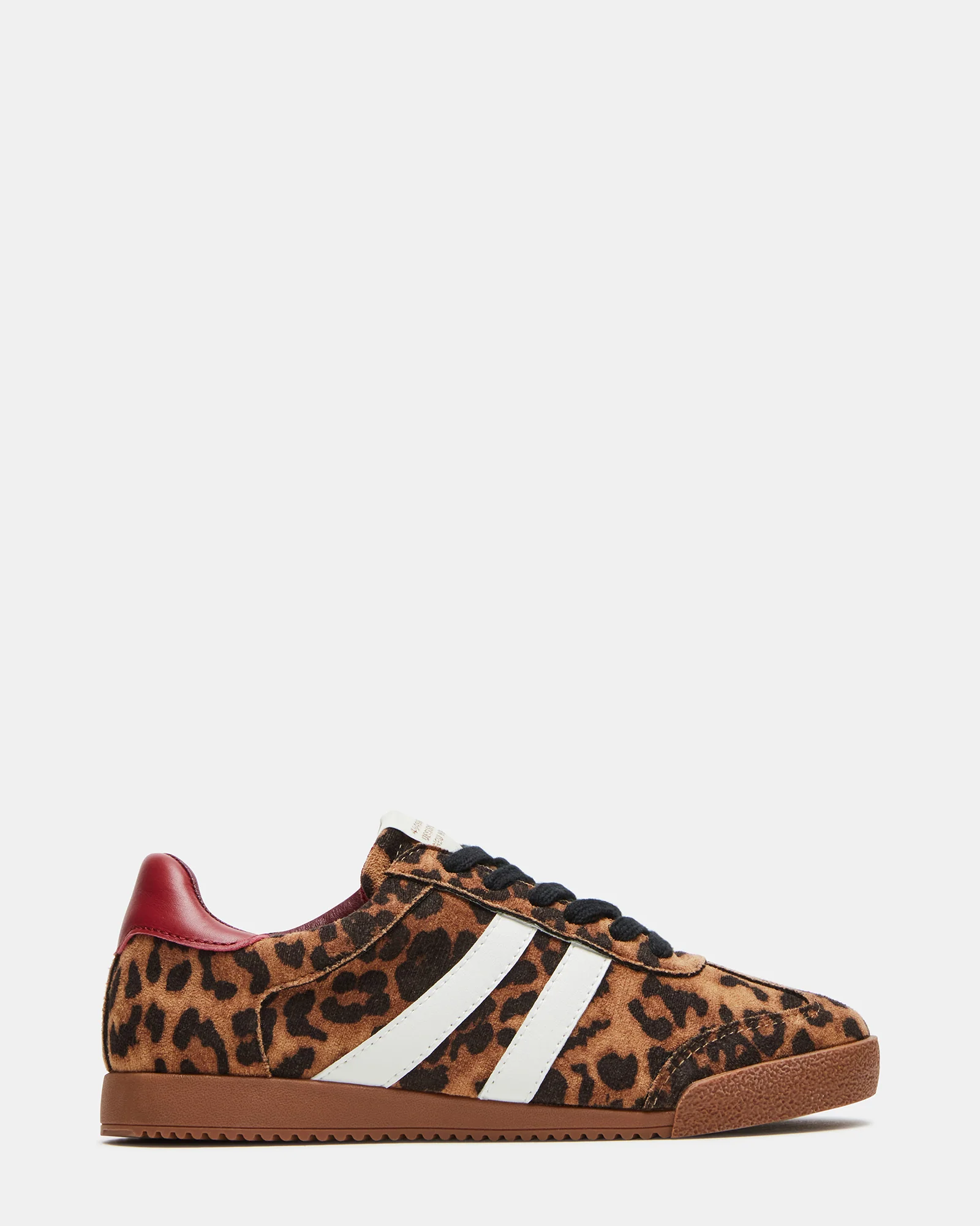Hudsin Leopard 1 Hudsin Leopard
