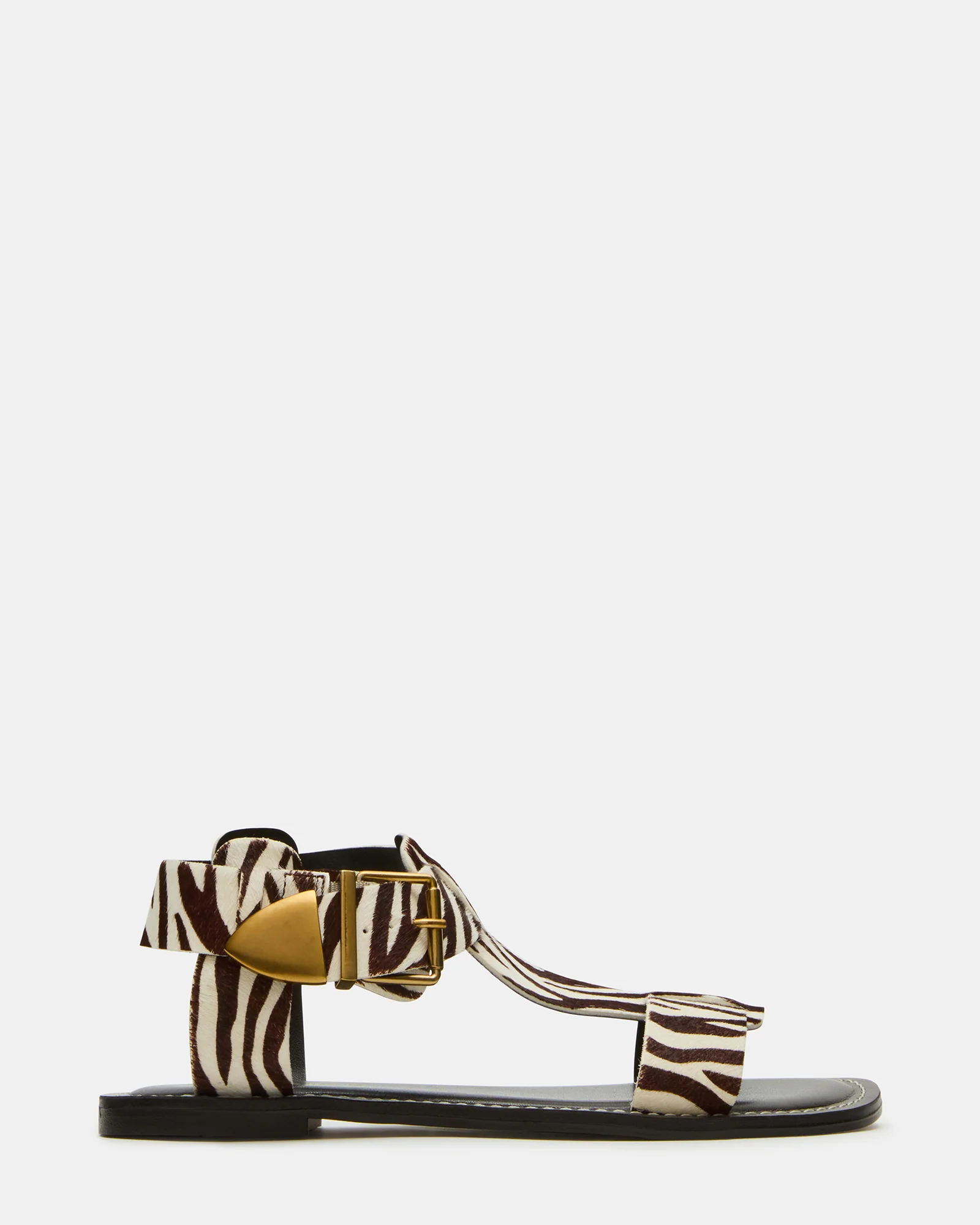 Brazinn Zebra 1 Brazinn Zebra