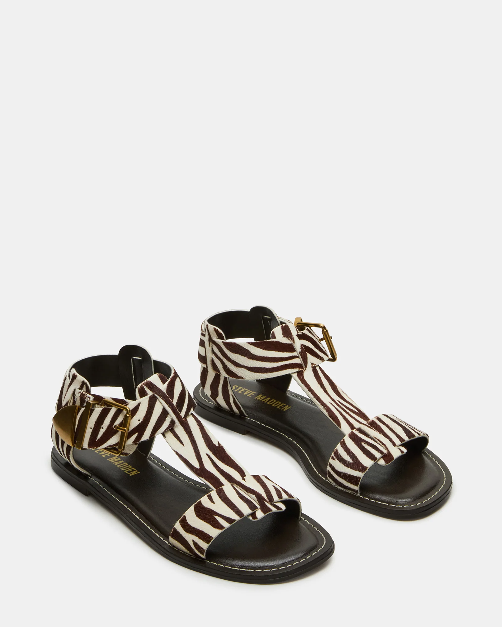 Brazinn Zebra 2 Brazinn Zebra