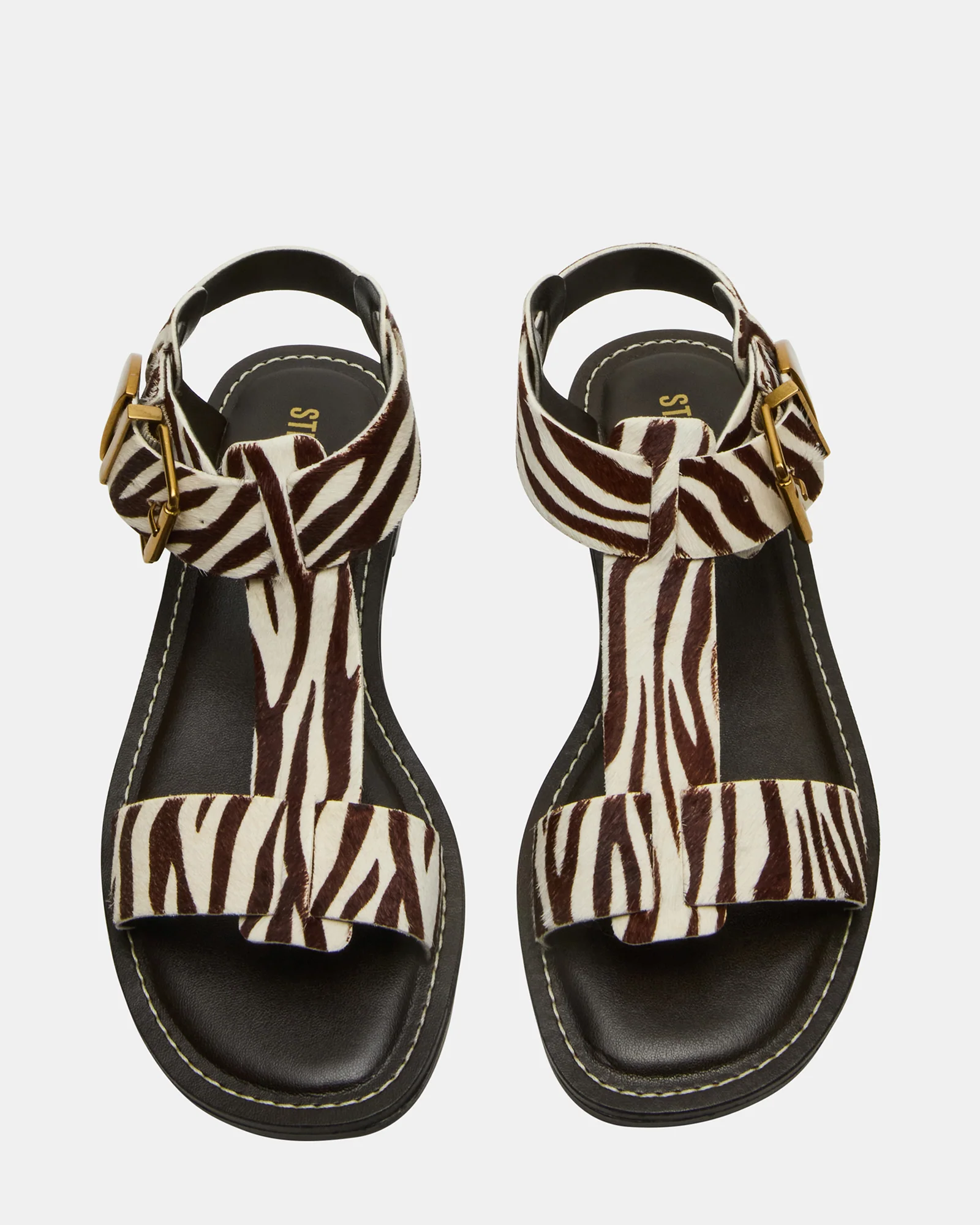 Brazinn Zebra 4 Brazinn Zebra