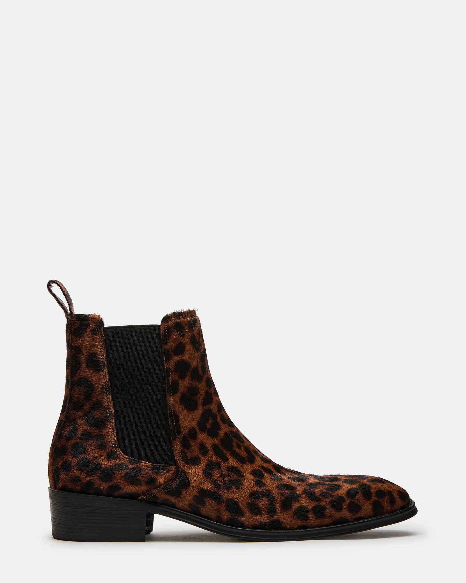 Harte Leopard 1 Harte Leopard