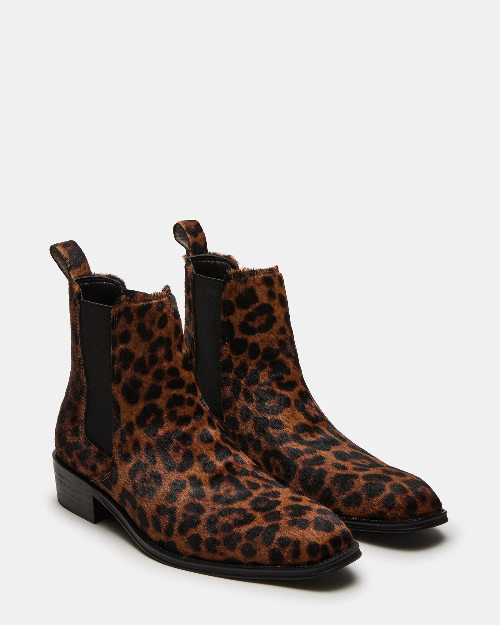 Harte Leopard 2 Harte Leopard