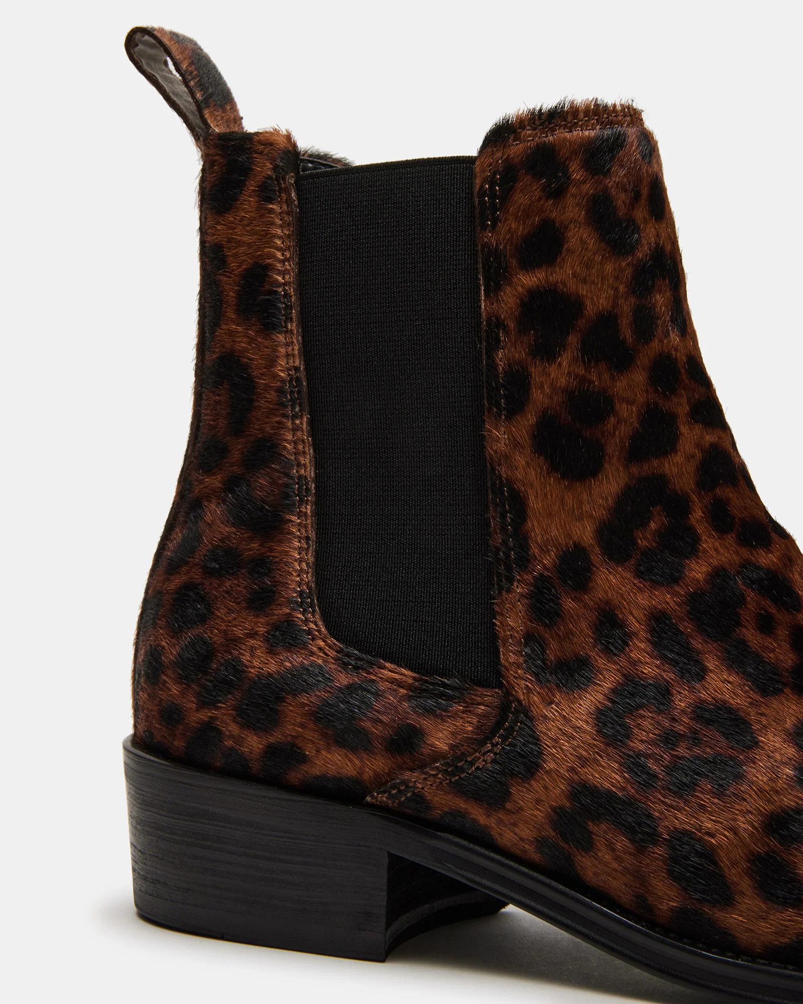 Harte Leopard 3 Harte Leopard