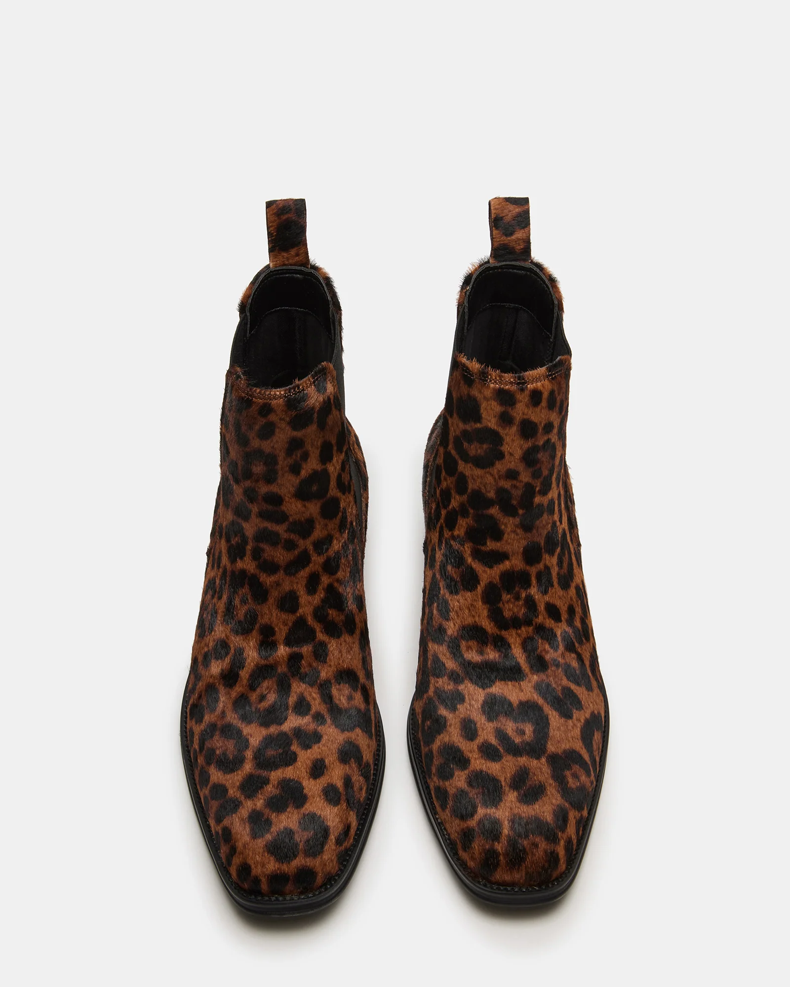 Harte Leopard 4 Harte Leopard
