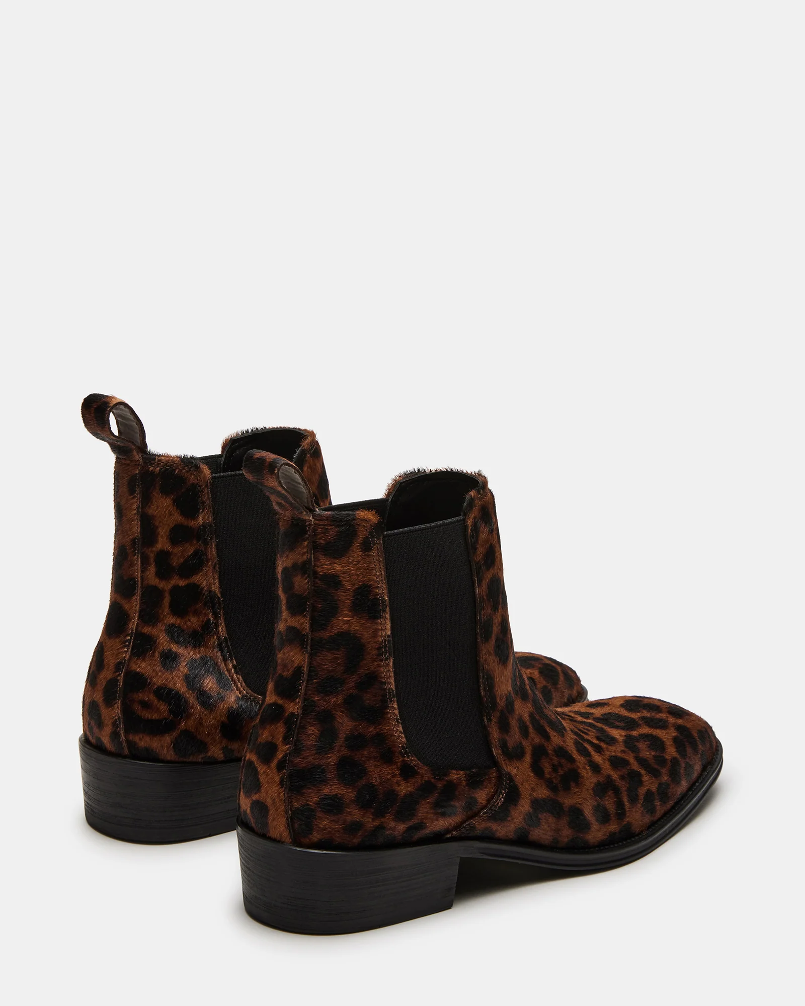 Harte Leopard 5 Harte Leopard