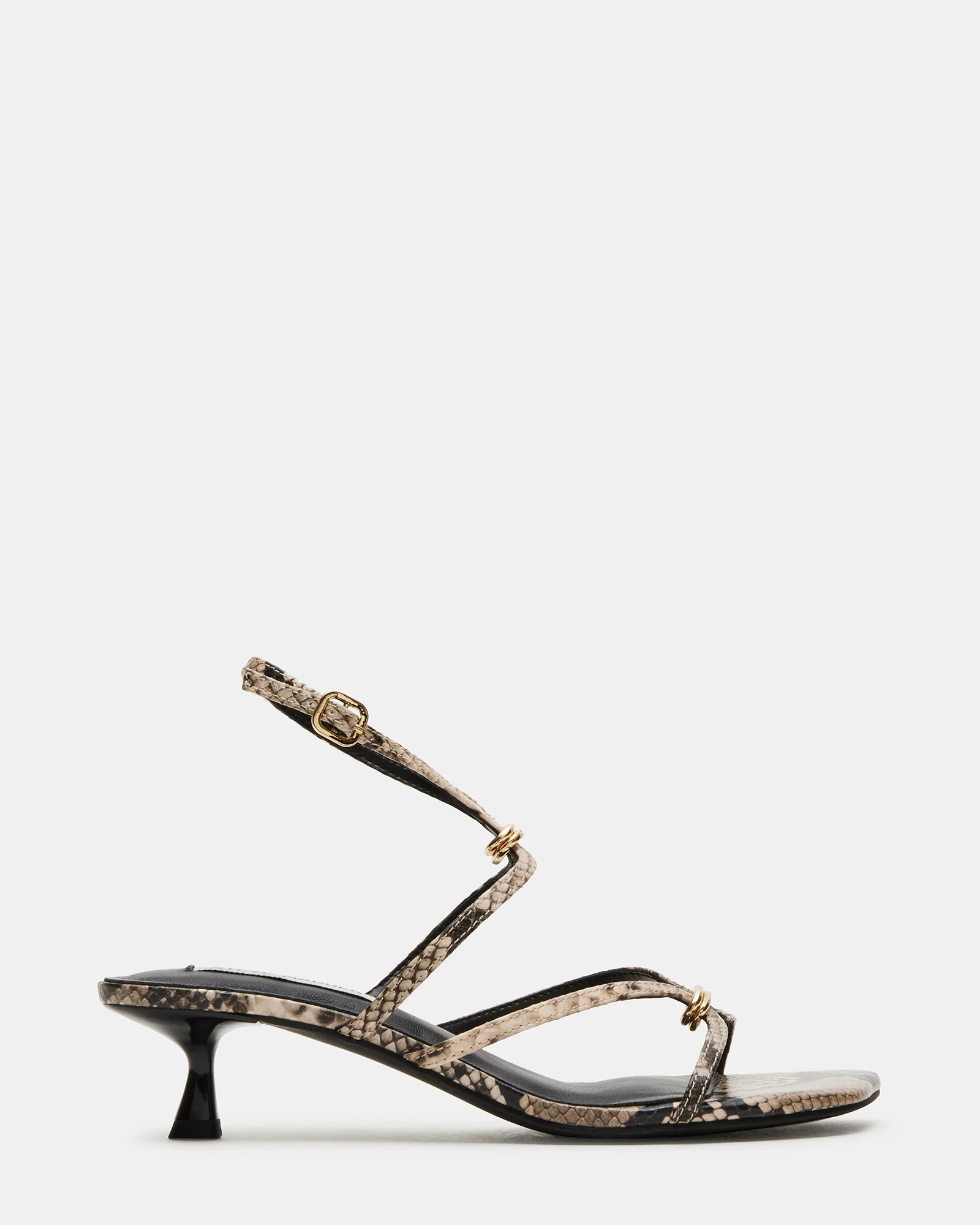Jamina Snake 1 Jamina Snake